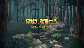 穿越迷宫世界  Cross the Maze World