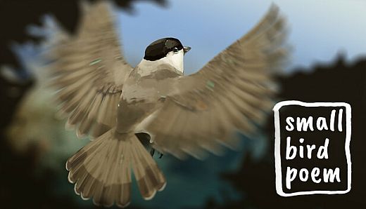 small bird poem