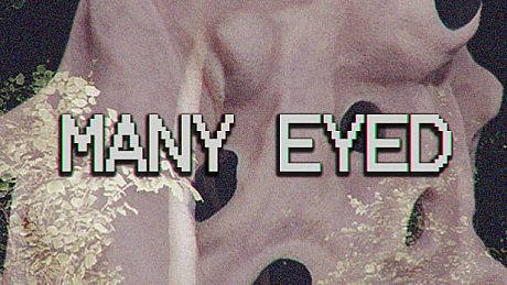 Many Eyed Game