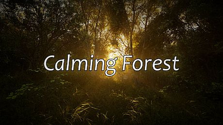 Calming Forest Game