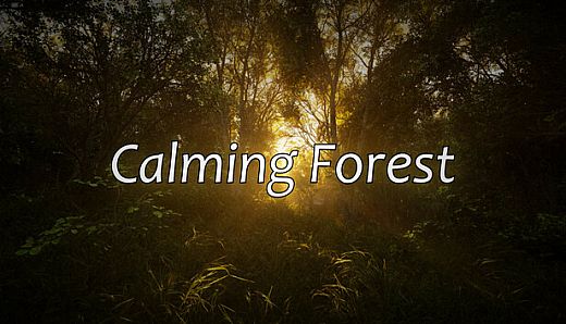 Calming Forest
