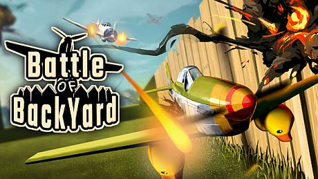Battle of BackYard Game
