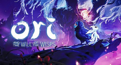Ori and the Will of the Wisps Game