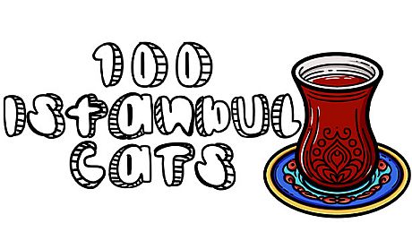 100 Istanbul Cats Game