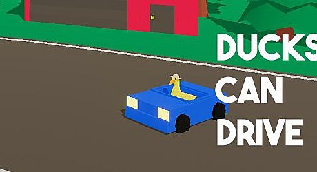 Ducks Can Drive