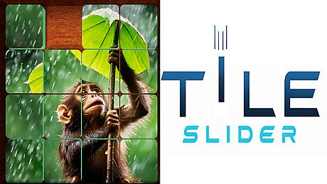Tile Slider Game