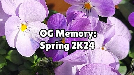 OG Memory: Spring 2K24 Game