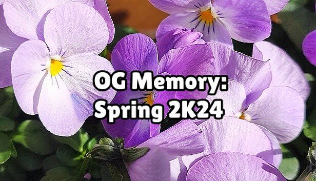 Buy OG Memory: Spring 2K24