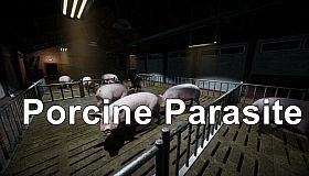 Porcine Parasite