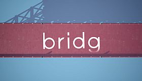 bridg
