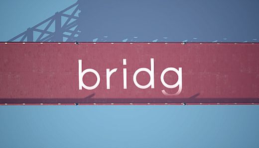 bridg