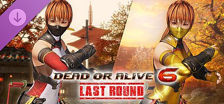 Morphing Ninja Costume - Kasumi DLC