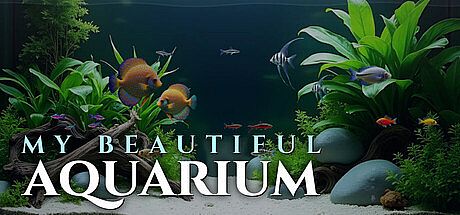 My Beautiful Aquarium