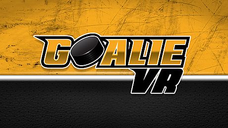 Goalie VR Game