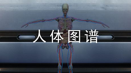 人体图谱 Game