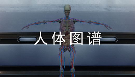 人体图谱