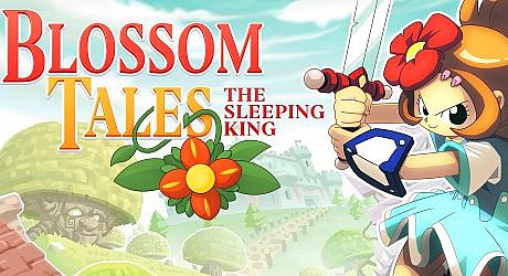 Blossom Tales: The Sleeping King Game