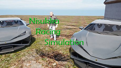 Nisukka Racing Simulation Game