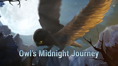 Owl's Midnight Journey Game