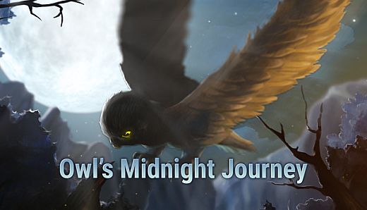 Owl's Midnight Journey