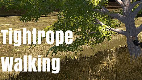 Tightrope Walking Game