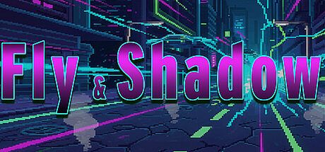 Fly and Shadow Game