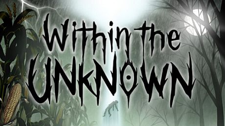 Within the Unknown Game