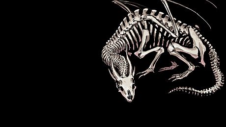 Dragon Ruins II Game