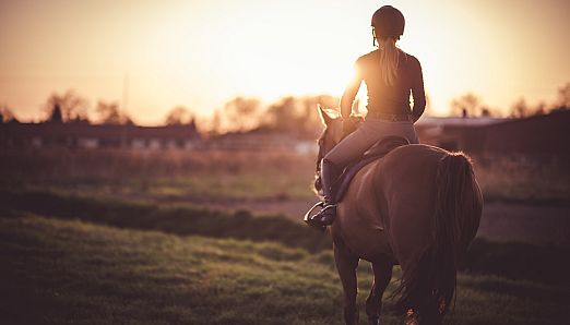 Stable Stories - Forest and Meadow Ride