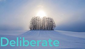 Deliberate