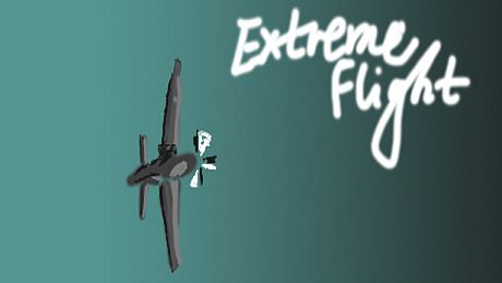 Extreme flight Game