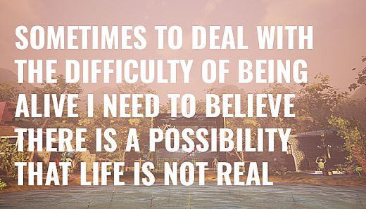 Sometimes to Deal with the Difficulty of Being Alive, I Need to Believe There Is a Possibility That Life Is Not Real.