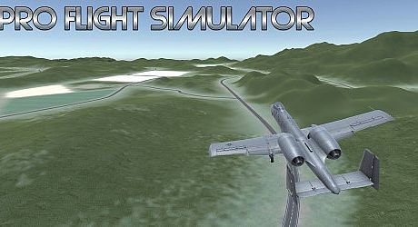 Pro Flight Simulator Game