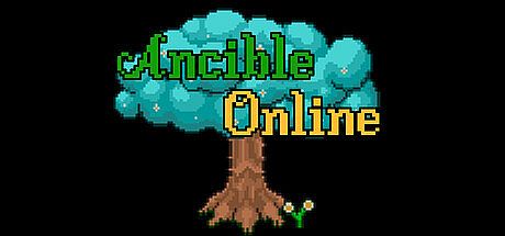Ancible Online