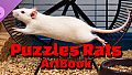 Puzzles Rats Artbook