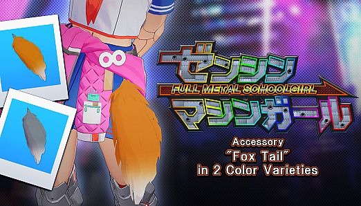Accessory: "Fox Tail" in 2 Color Varieties
