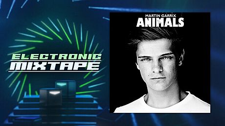 Beat Saber - Martin Garrix - Animals DLC