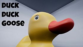 Duck Duck Goose