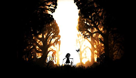 Projection: First Light