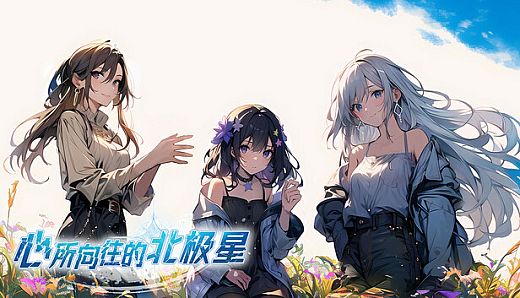 心所向往的北极星