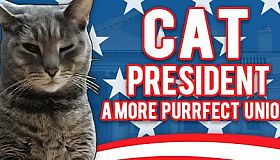 Cat President: A More Purrfect Union