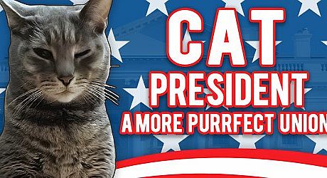 Cat President: A More Purrfect Union Game