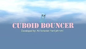 Cuboid Bouncer