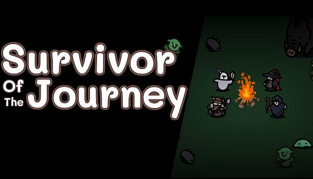 Buy Survivor Of The Journey