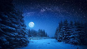 Puzzle Vacations: Christmas