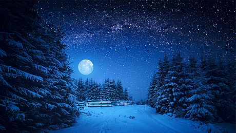 Puzzle Vacations: Christmas Game