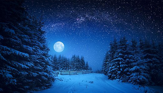 Puzzle Vacations: Christmas