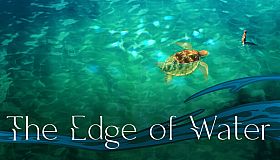 The Edge of Water