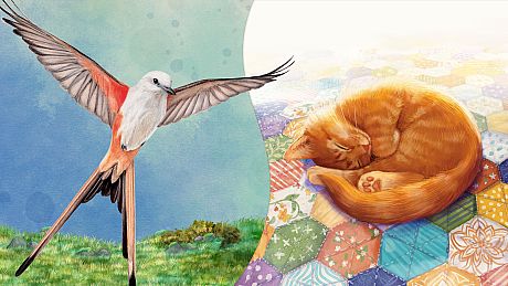 Birds and Cats Special Edition Bundle