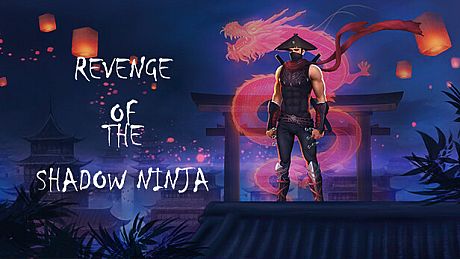 Revenge of the shadow ninja Game